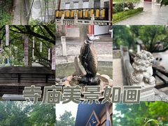 -西安大兴善寺