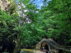 -牛背梁国家森林公园