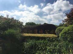 -新江湾城公园