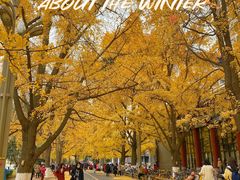 -四川大学(华西校区)