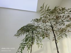 -HEYAN荷妍专业脱毛连锁机构