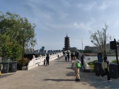 -曹州牡丹园