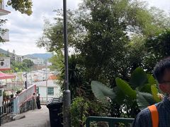 -南丫岛
