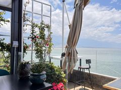 -野菌皇海景野生菌火锅(滨海大道店)
