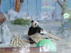 -海南热带野生动植物园
