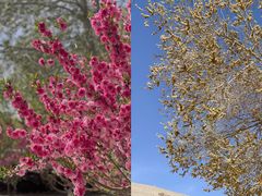 -敦煌莫高窟数字展示中心