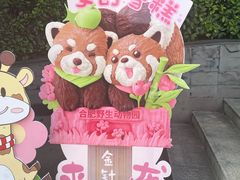 -合肥野生动物园