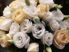 -静岸花卉园艺(三星坊店)