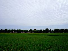-广富林郊野公园