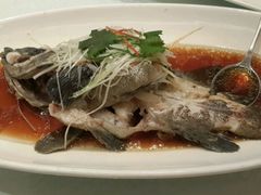 -骏莱海鲜鱼港(五角场店)