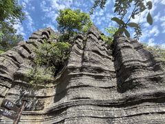 -梭布垭石林景区
