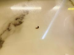 -诗莉莉·厚德堂私房菜