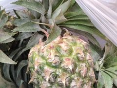 -三亚新鸿港水果一级批发市场