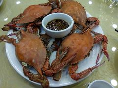 -北塘海鲜·天津菜(大光明桥旗舰店)
