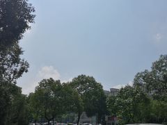 -上海市公安局交通警察总队车辆管理所三分所