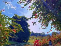 -中国科学院西双版纳热带植物园