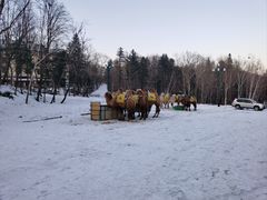 -亚布力新体委滑雪场