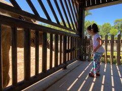 -鄂尔多斯野生动物园