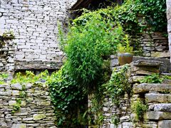 -高荡千年布依古寨旅游景区