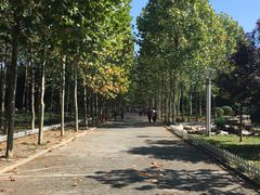 -青岛第三海水浴场