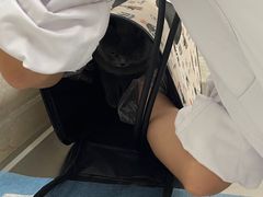 -仁华宠物医院(青羊店)