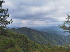 -王顺山国家森林公园