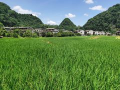 -高荡千年布依古寨旅游景区