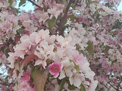 -河北工业大学(北辰校区)