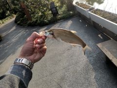 -兰溪青年公园