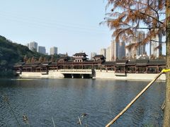 -重庆彩云湖湿地公园