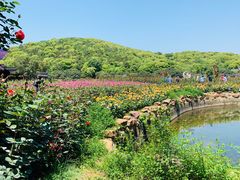 -龙寺生态园
