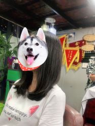 -乾健·烫染·接发SALON