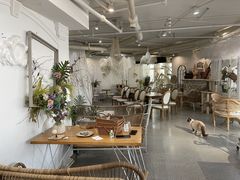 大堂-共舞时光猫咖·狗咖(新街口店)