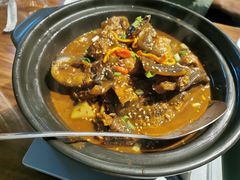 甲鱼-鳖皇甲鱼餐厅(平阳路店)