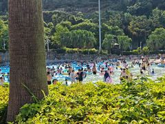 -重庆海昌加勒比海水世界