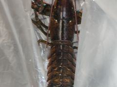 -盒马鲜生(双清路店)