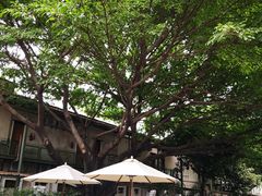 -喜洲吧·江畔老船厂·庭院餐厅(喜临院店)