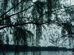 -唐风温泉
