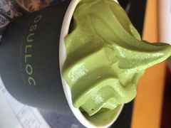 -雪绿茶博物馆