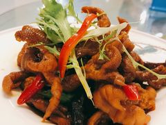 -豆花酒楼·三十八年匠心(秦皇东大街店)