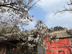-潭柘寺景区