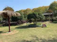 -武汉紫薇都市田园