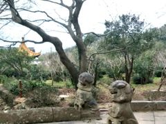 -雨花胜境