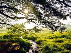 -贾特拉帕蒂·希瓦吉国际机场