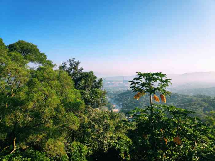 石壁山风景区"石壁山721572157215,位于饶平黄冈的一处