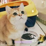 猫猫🐱狗狗🐶，更爱哪个？