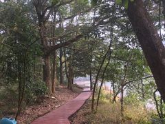 -广州市石门国家森林公园