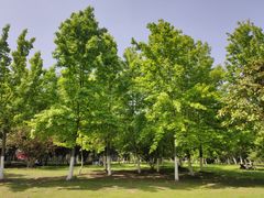 -大蜀山国家森林公园
