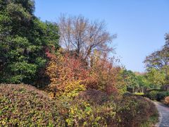 -洛阳市隋唐城遗址植物园