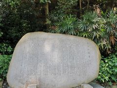 -鼎湖山风景区